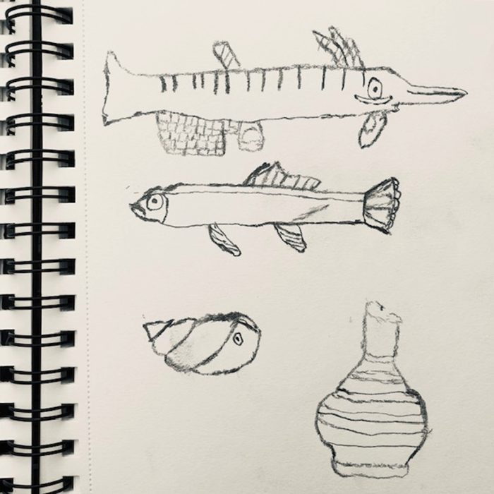 Pencil drawings by Adam Crown of two fish, a shell and a vessel